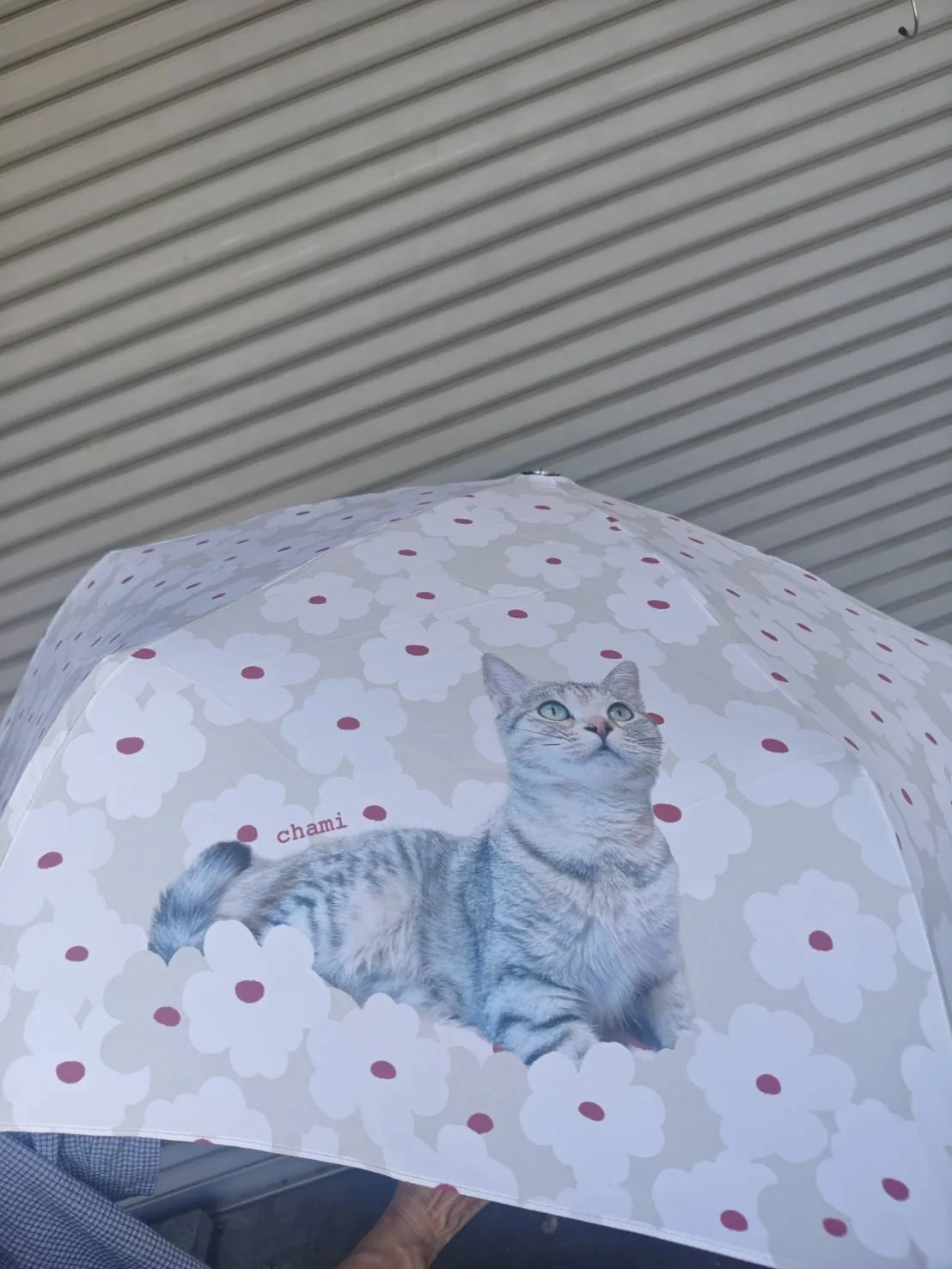 猫柄の折りたたみ傘