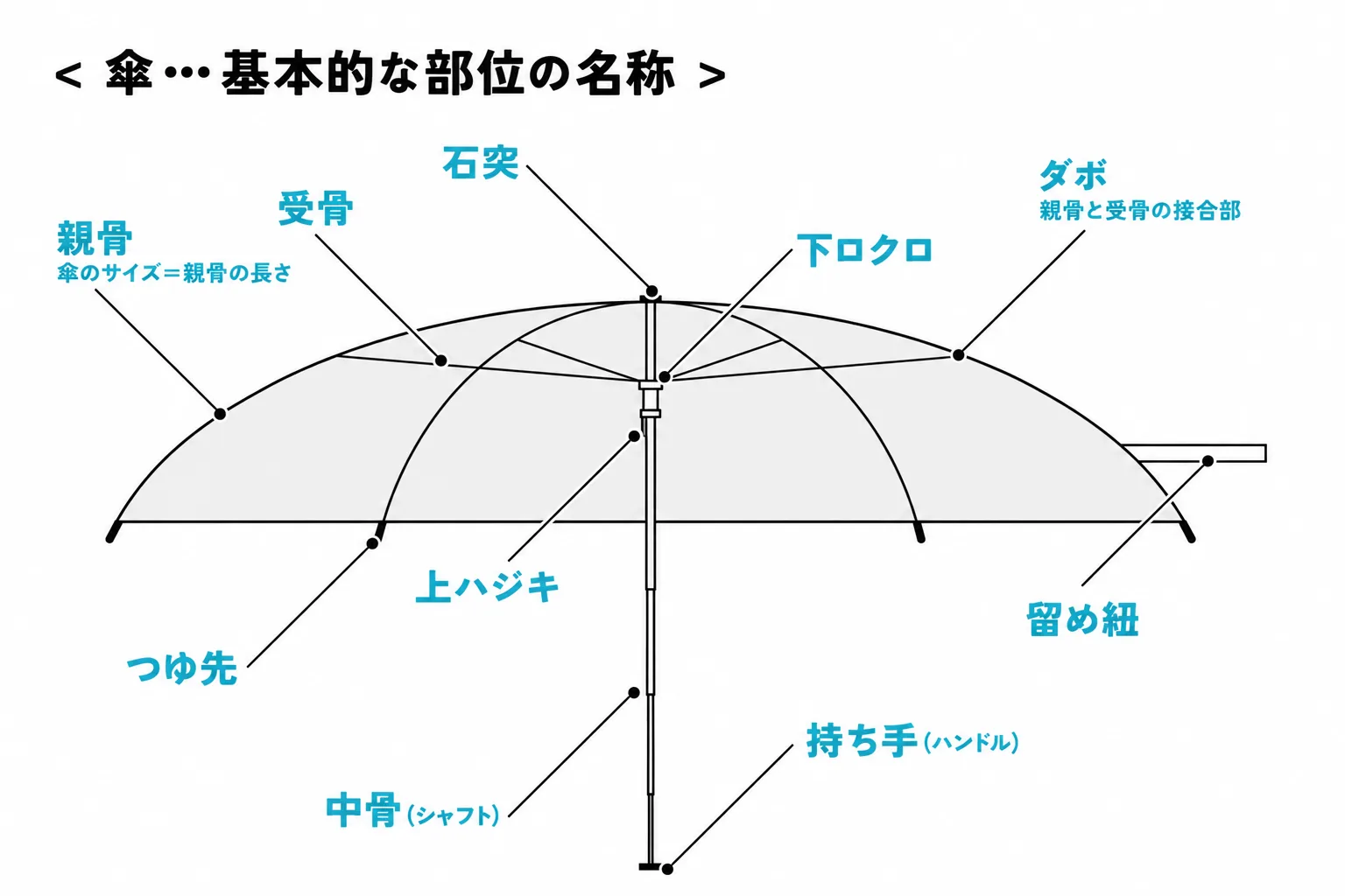 傘の基本部位名称
