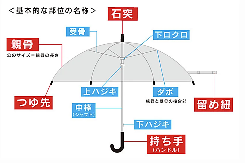 傘の基本的な部位の名称図