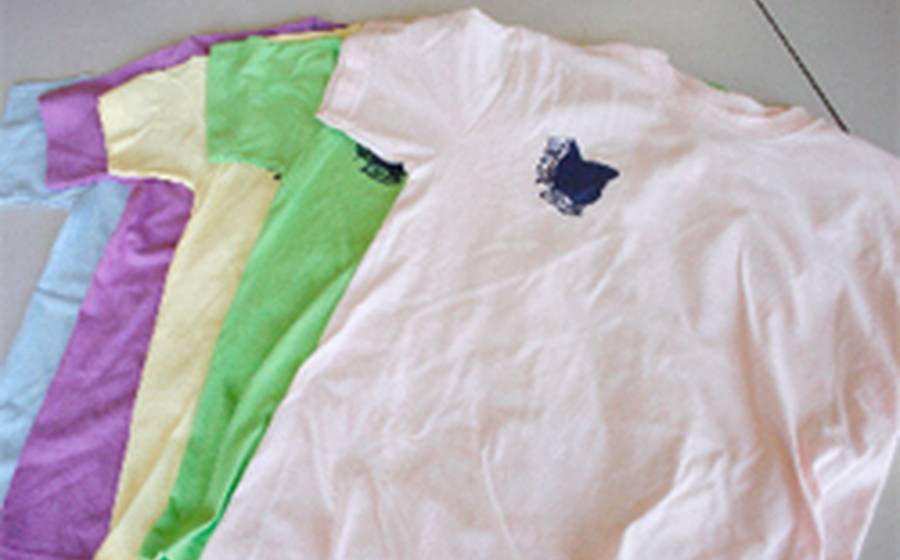 Tシャツ製作例の製作例 006｜citto.jp