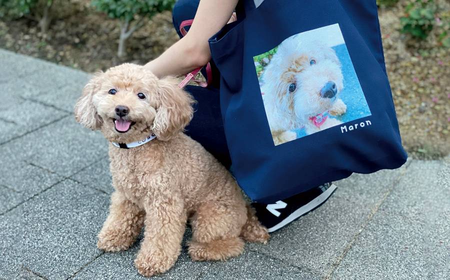 ペットグッズ製作例